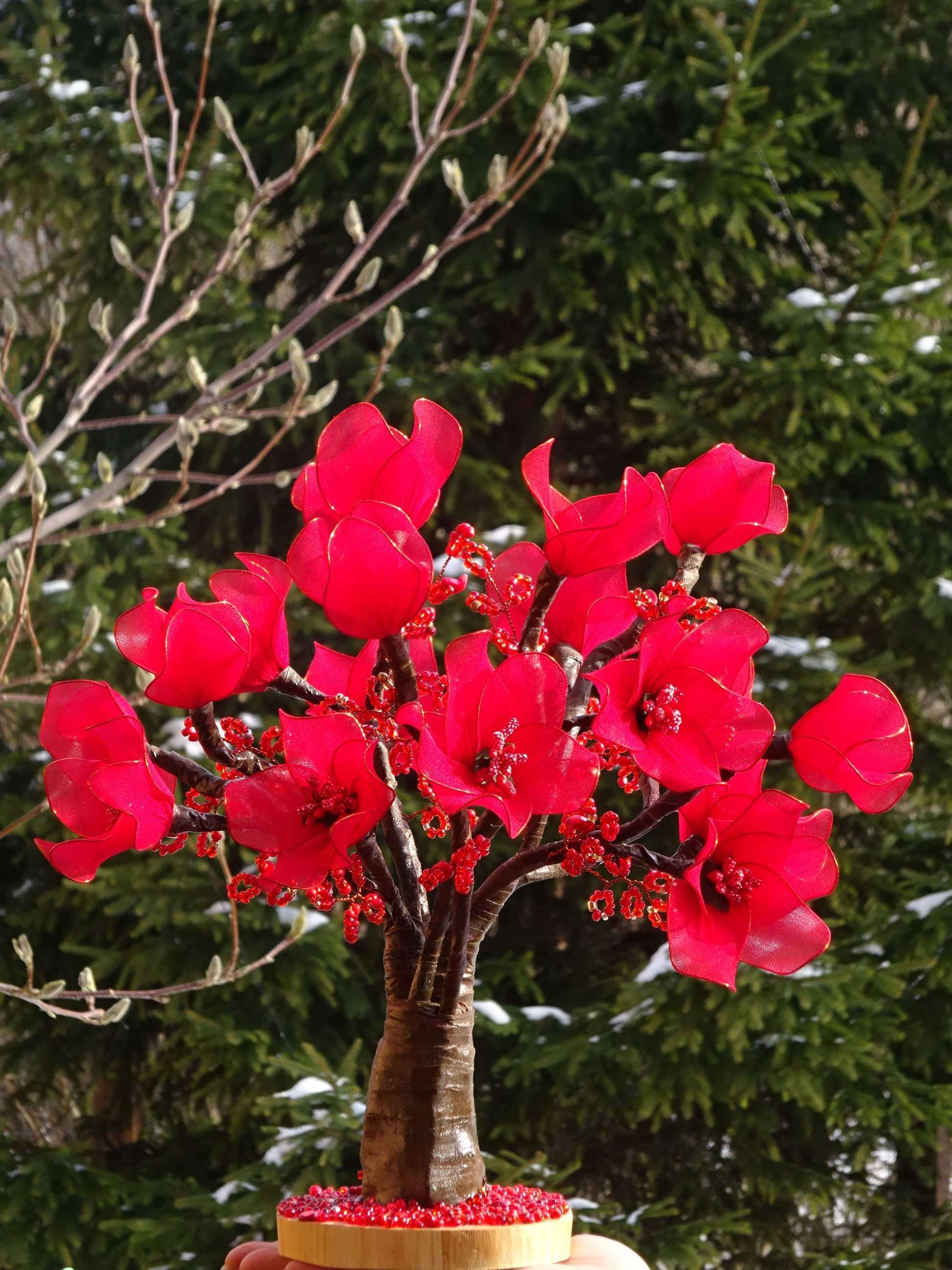 Bonsai roșu