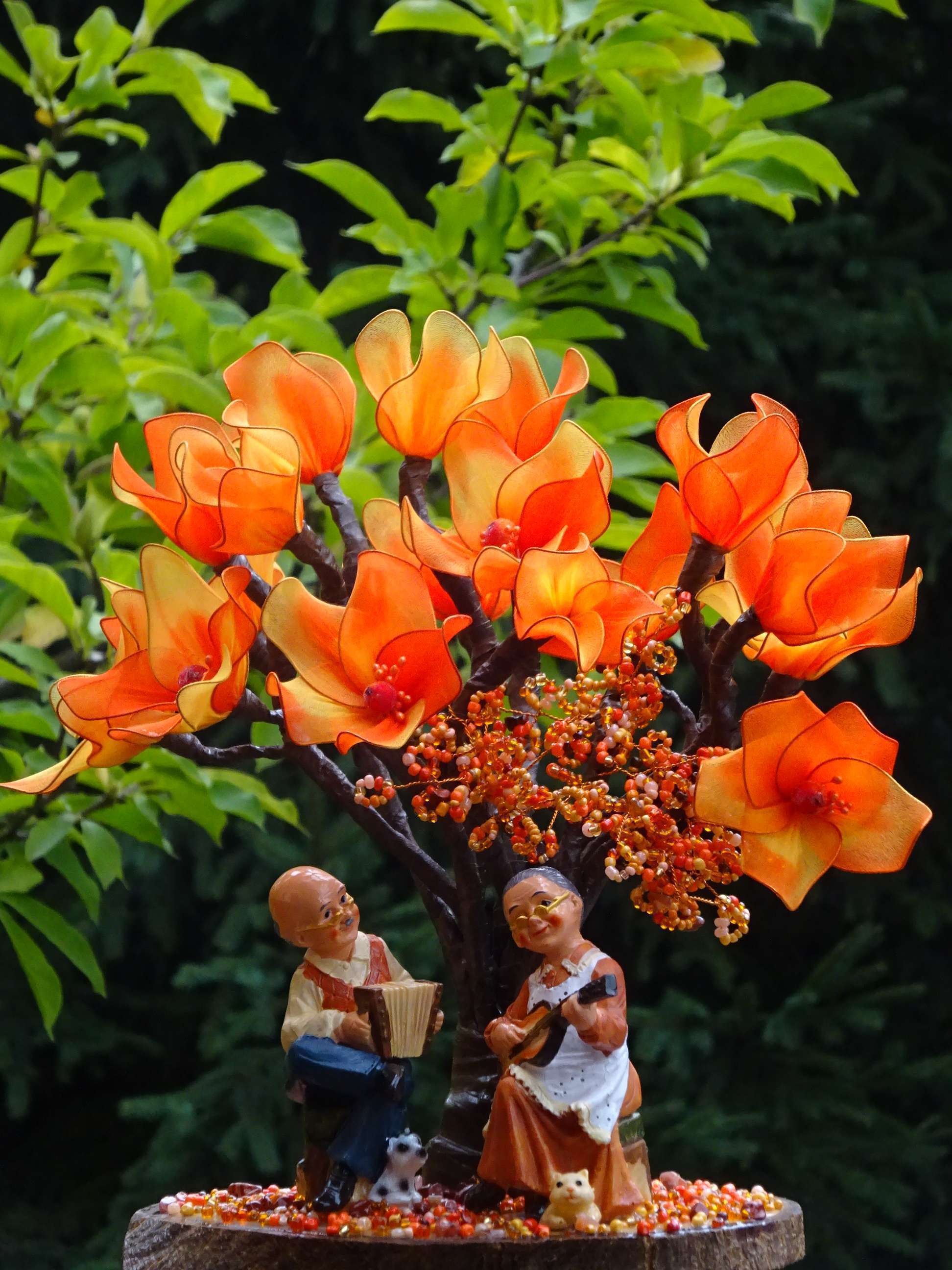Bonsai portocaliu cu bătrânei cântăreți